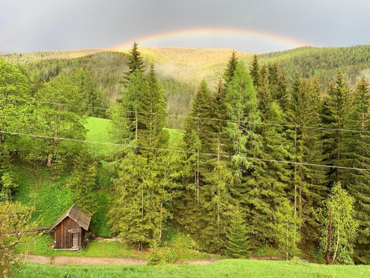 Nockalm Cottage باد كلينكيرشهايم المظهر الخارجي الصورة