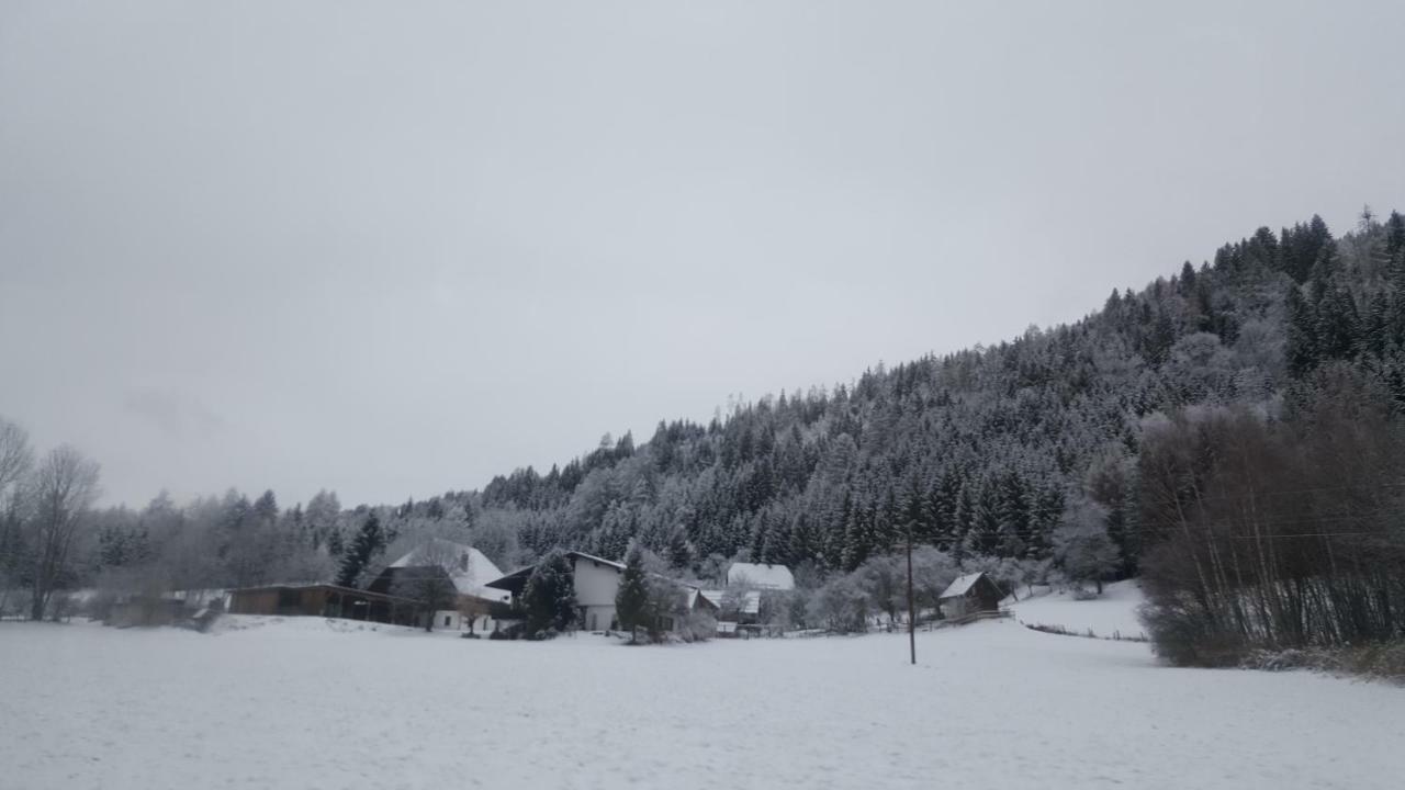 Nockalm Cottage باد كلينكيرشهايم المظهر الخارجي الصورة